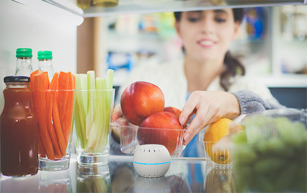 Shelly Wave H&T LR – Z-Wave Temperature & Humidity Sensor (Long Range)