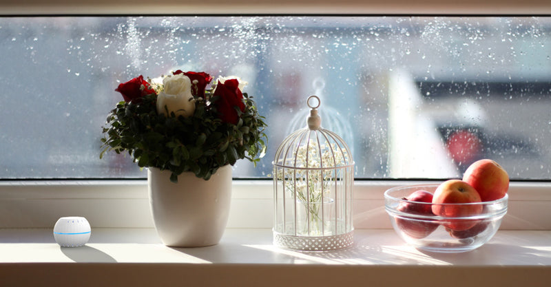 Shelly Wave H&T LR – Z-Wave Temperature & Humidity Sensor (Long Range)