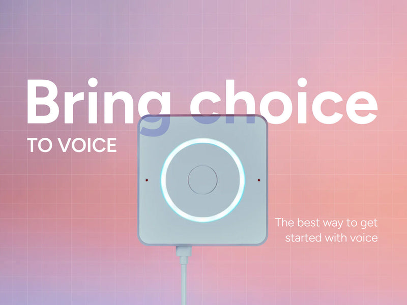 Home Assistant Voice Preview Edition
