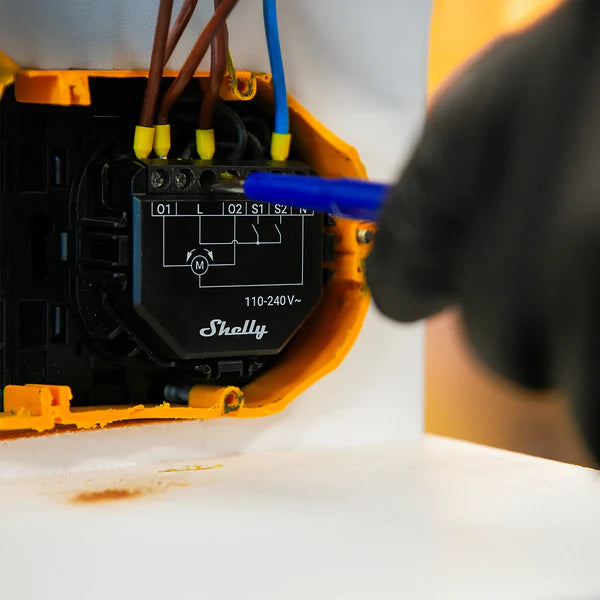 Shelly Shutter and BLU Button Tough1